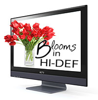 Blooms in Hi-Def Sweepstakes