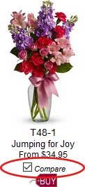 Compare Flowers before you buy. A florist website first.