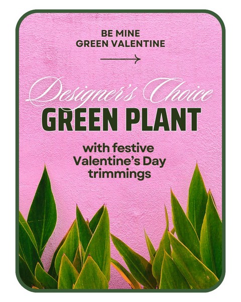 Designer's Choice Valentine's Day Green Plant 