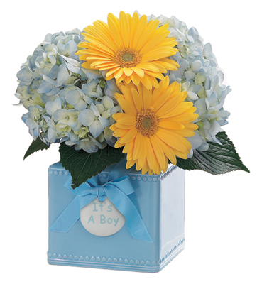 FTD Sweet Dreams Bouquet - Boy