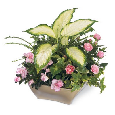 Garden of Grace Planter