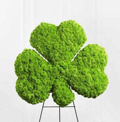 The FTD Forever(tm) Shamrock Easel