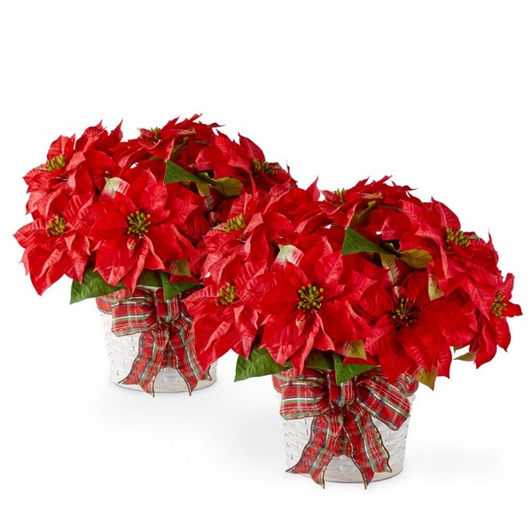 Holiday Poinsettia Bundle