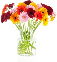 About Flowers