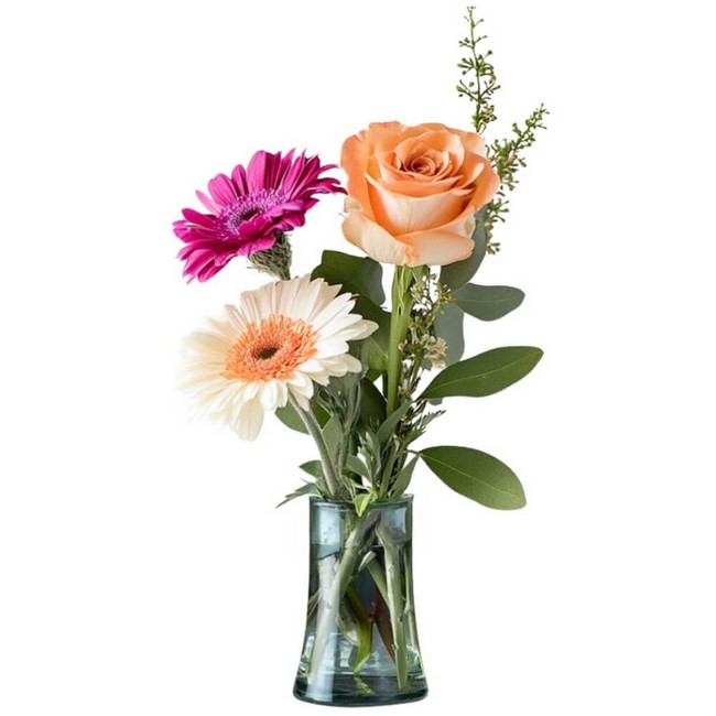 Graceful Blooms