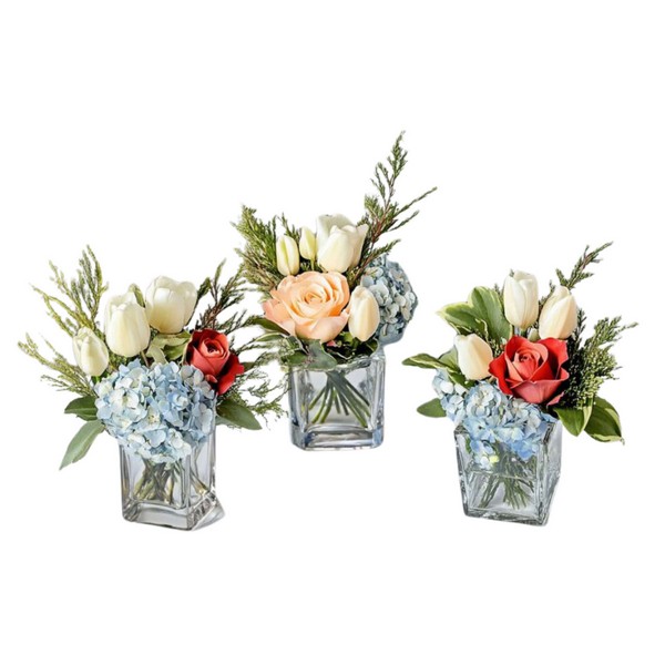 Tulip Trio
