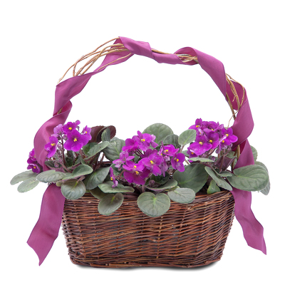 Very Violet Basket