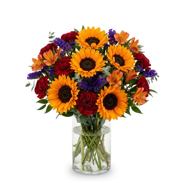 Shadowed Sunburst Soiree