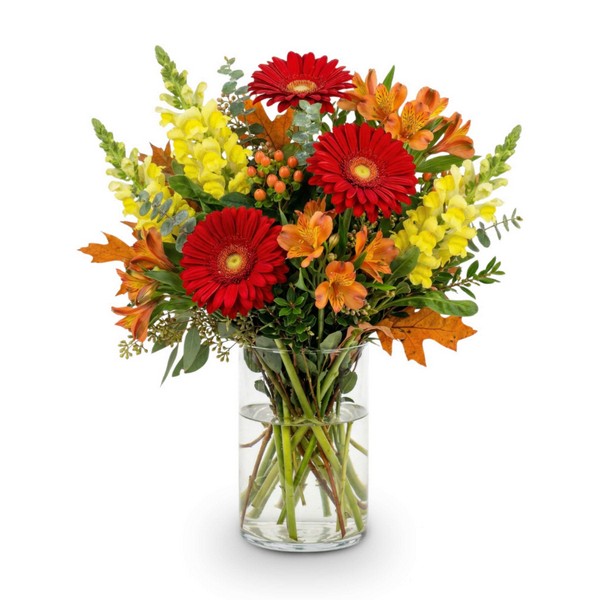 Crimson & Gold Harvest Celebration