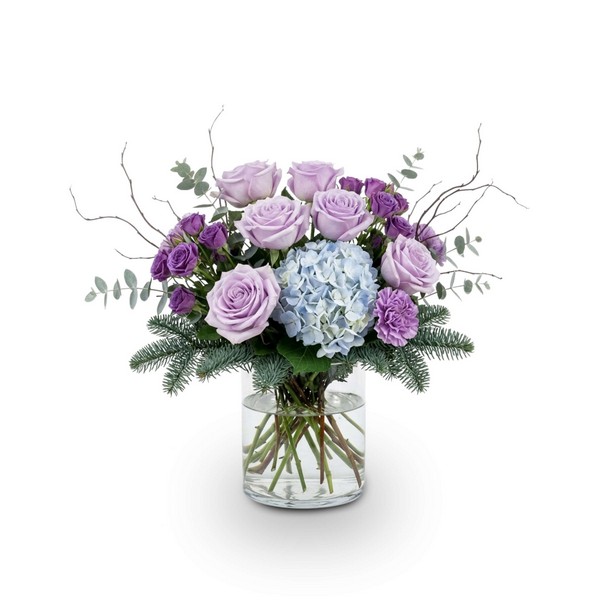 Lavender Frost Radiance