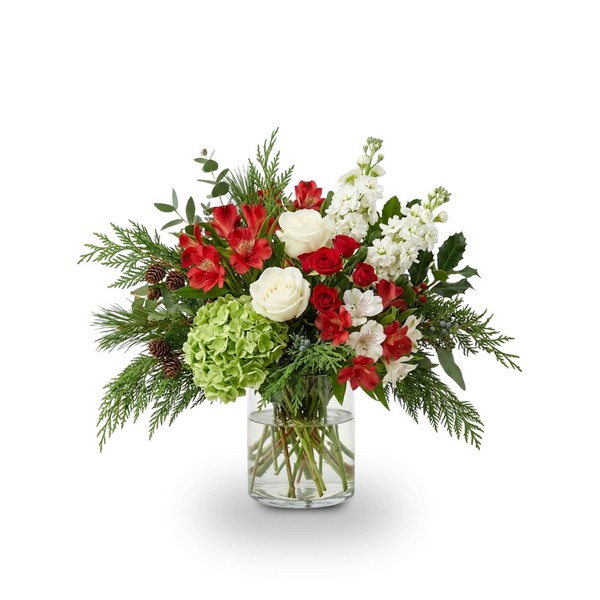 Evergreen & Winter Bloom Radiance