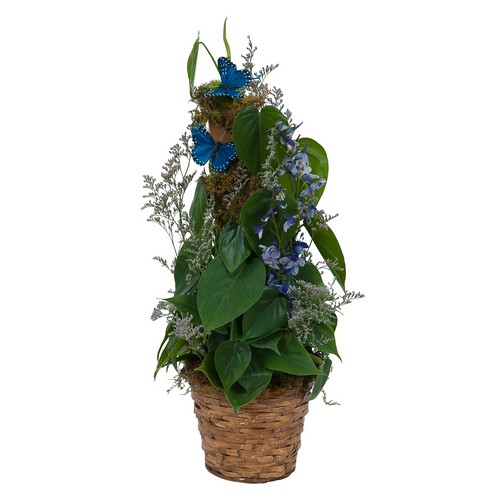 Plant Basket with Butterflies