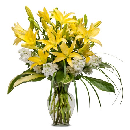 Lilies and Stock