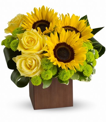 Teleflora's Sunflower Fantasy