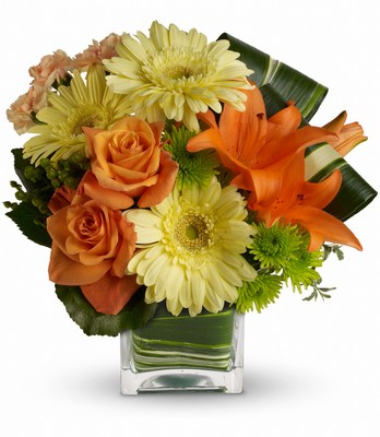 Teleflora's Citrus Crush