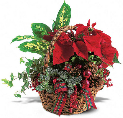 Holiday Planter Basket