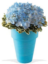 Degas Blue Bouquet