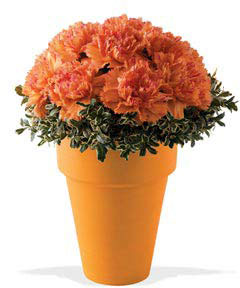 Renoir Orange Bouquet