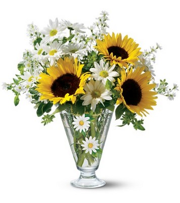 Teleflora's Delicate Daisy Bouquet