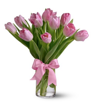 Precious Pink Tulips