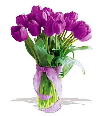 Passionate Purple Tulips - Deluxe