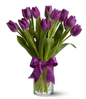 Passionate Purple Tulips