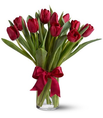 Radiantly Red Tulips