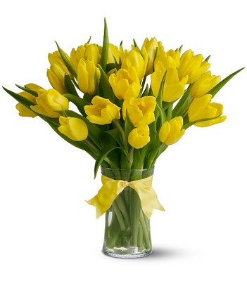 Sunny Yellow Tulips - Deluxe