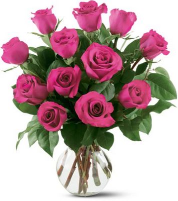 12 Hot Pink Roses