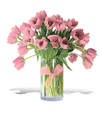 Precious Pink Tulips - Premium