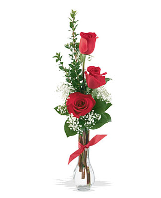 3 Red Roses
