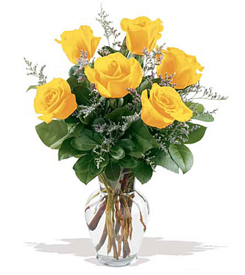 6 Yellow Roses