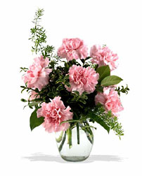 Pink Notion Vase