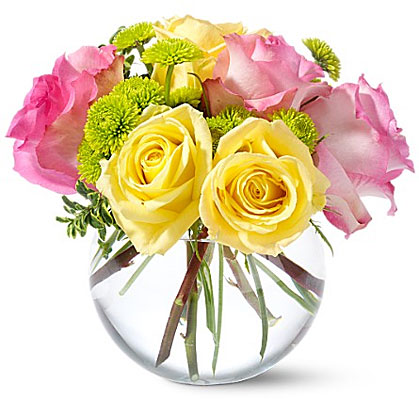 Teleflora's Pink Lemonade Roses