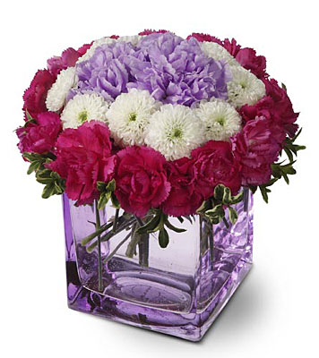 Teleflora's Ring Around the Posies