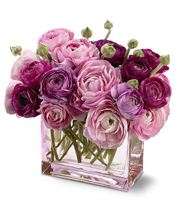 Teleflora's Petals In Pink