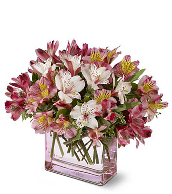 Teleflora's Always Alstroemeria