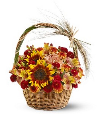 Harvest Basket