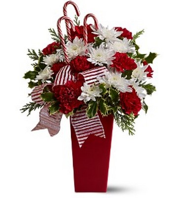 Peppermint Posies
