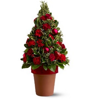 O Tannenbaum