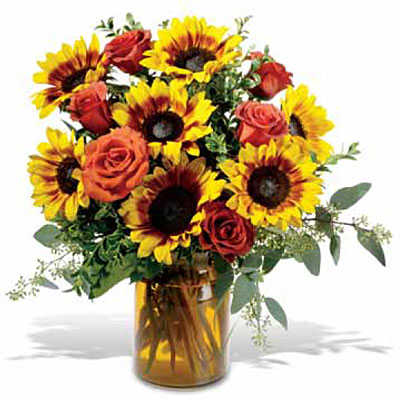 Rose and Sunflower Splendor