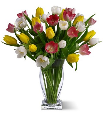True Love Tulips