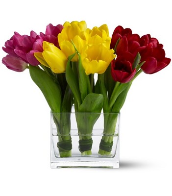 Teleflora's Tulip Trio