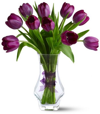 Royal Tulips