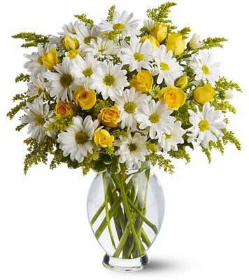 Teleflora's Daisy Days Deluxe