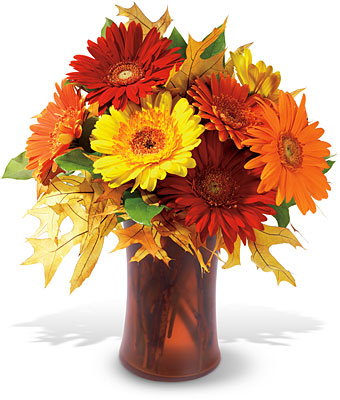 Autumn Gerberas