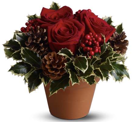 Holly Holiday