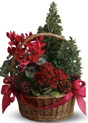 Tannenbaum Basket