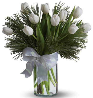 Tulips and Pine