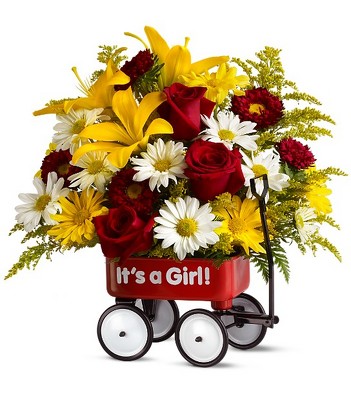 Teleflora's Baby's First Wagon - Girl - Deluxe